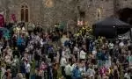 Swords Castle Summer Concerts - Martin Kemp (33) cropped 5_3