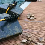 Oyster garden boxes 3