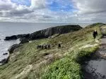 Howth Safari Hiking tour (1)