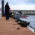 Oyster Garden Boxes 2