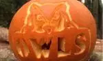 OWLSpumpkin_crop