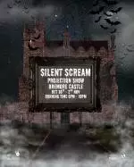 3.Silent Scream Times post