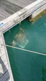 oystergarden boxes in water
