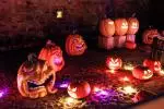 Pumpkins After Dark_Newbridge (3).JPG image