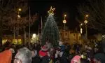 Balbriggan Christmas Tree Lighting (72)